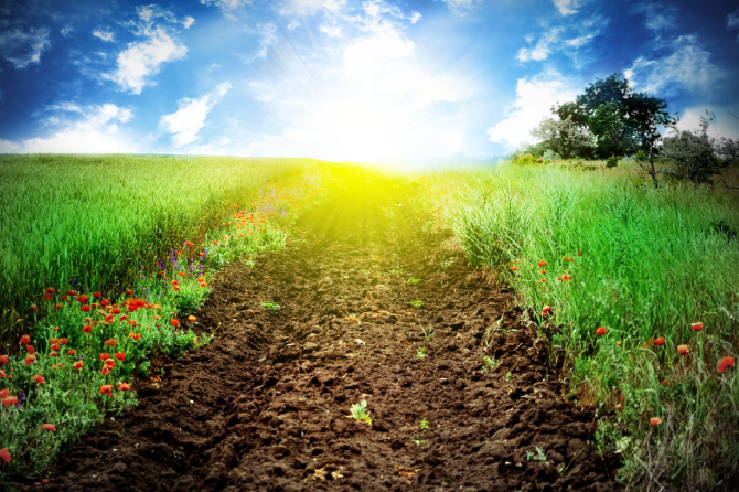 Agricultural Services