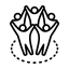Social Impact Organizations
